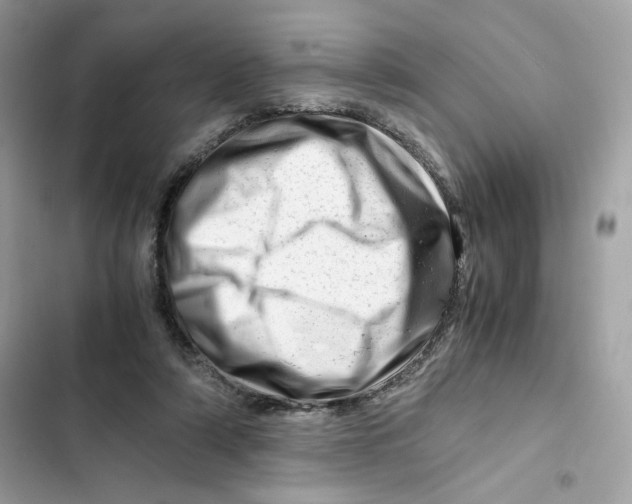 X0000101960306200808151321