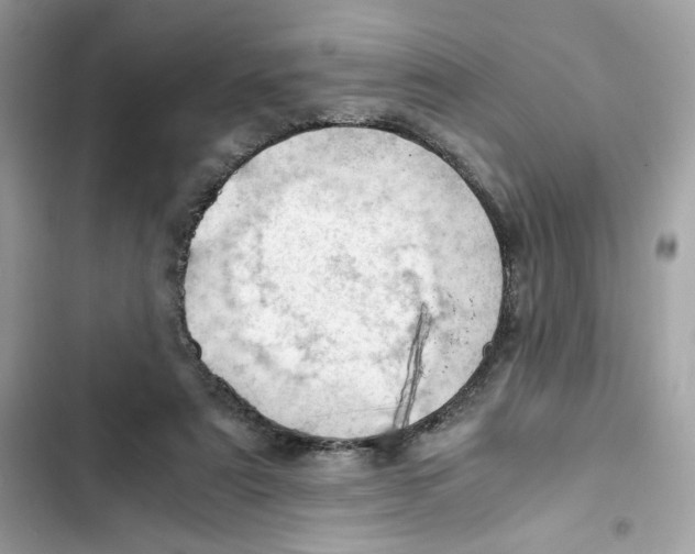 X0000101960307200808151321