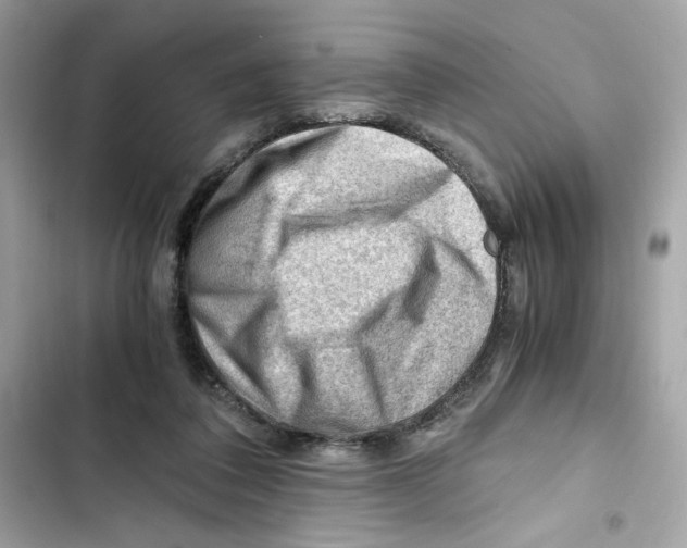 X0000101960308200808151321