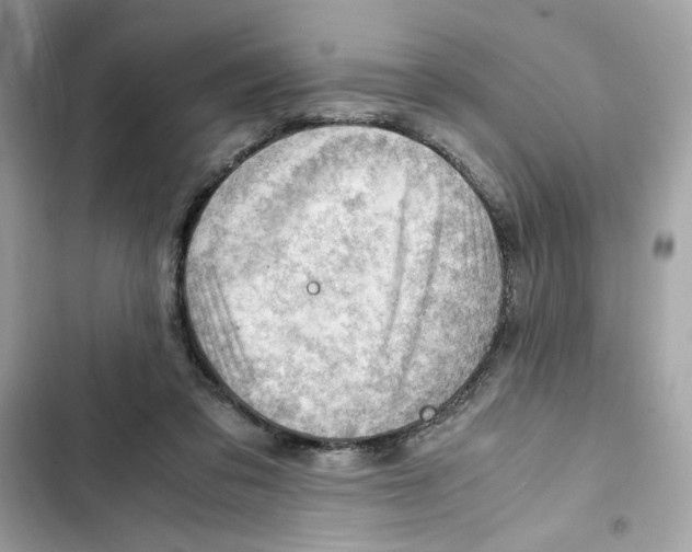 X0000101960309200808151321