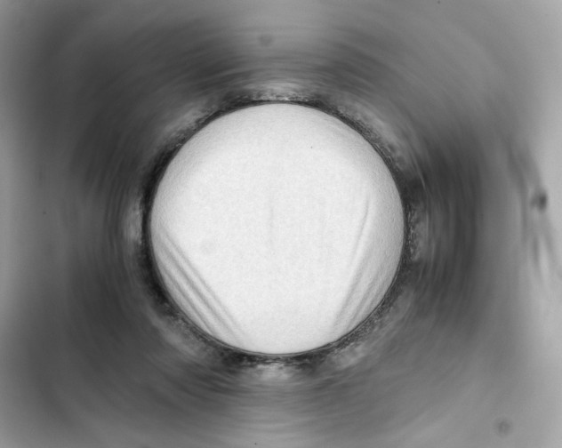 X0000101960310200808151321