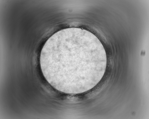 X0000101960311200808151321