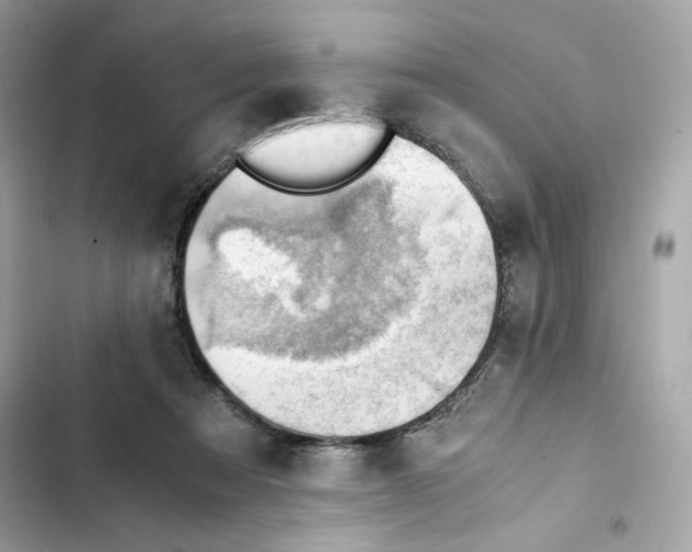 X0000101960313200808151321