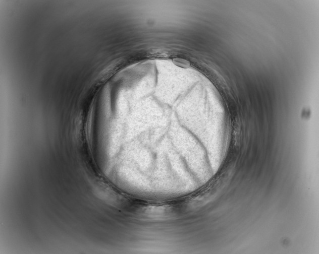 X0000101960314200808151321