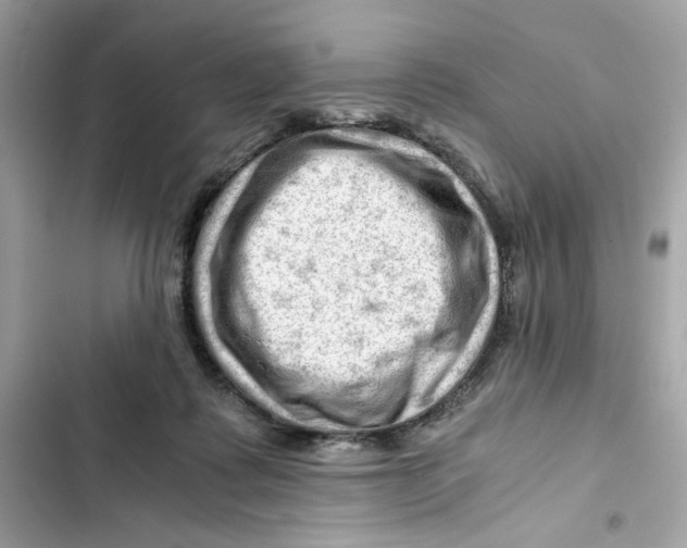 X0000101960315200808151321