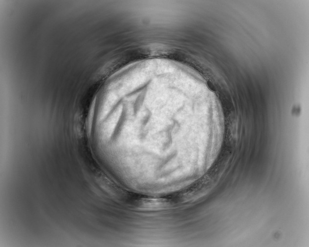 X0000101960316200808151321