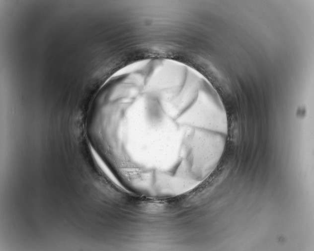X0000101960318200808151321