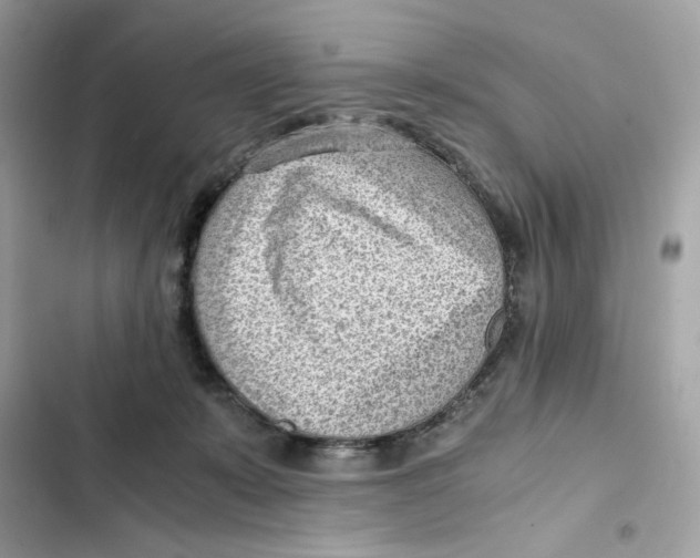 X0000101960319200808151321