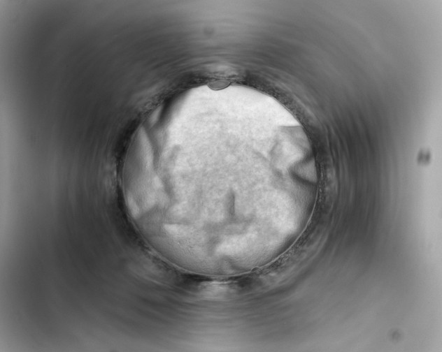 X0000101960320200808151321