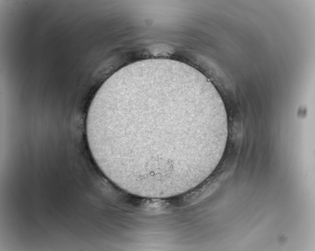 X0000101960321200808151321