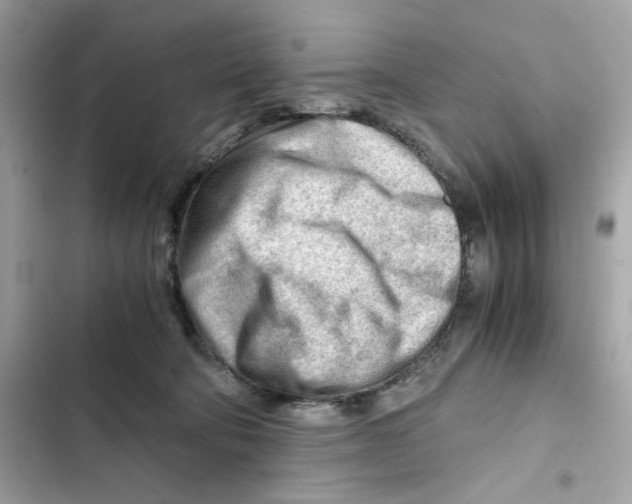 X0000101960322200808151321