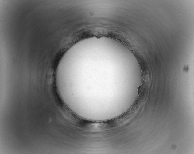 X0000101960323200808151321