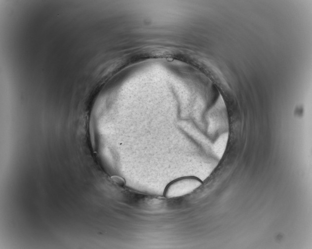 X0000101960325200808151321