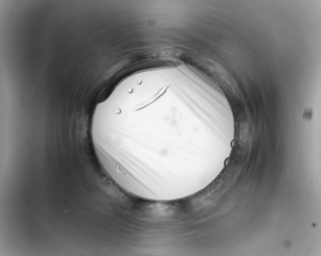 X0000101960326200808151321