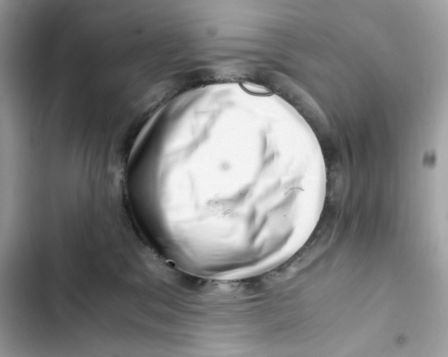X0000101960329200808151321
