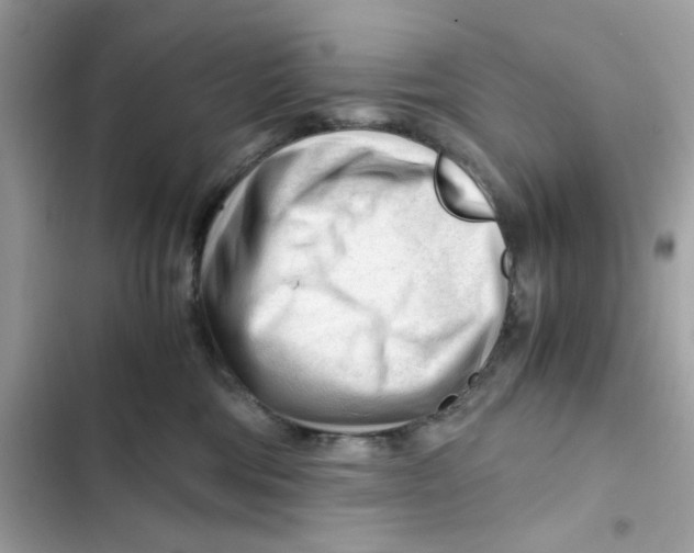 X0000101960330200808151321