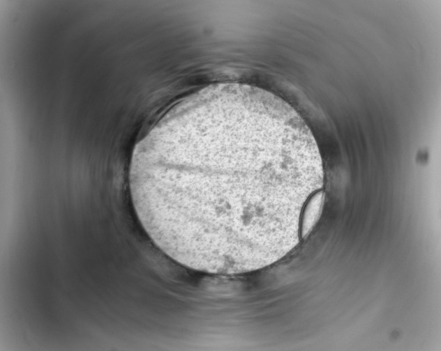 X0000101960331200808151321