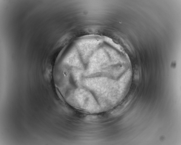 X0000101960332200808151321