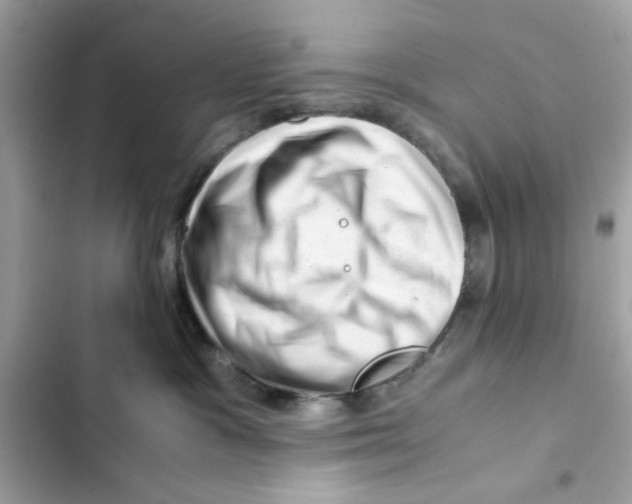 X0000101960333200808151321
