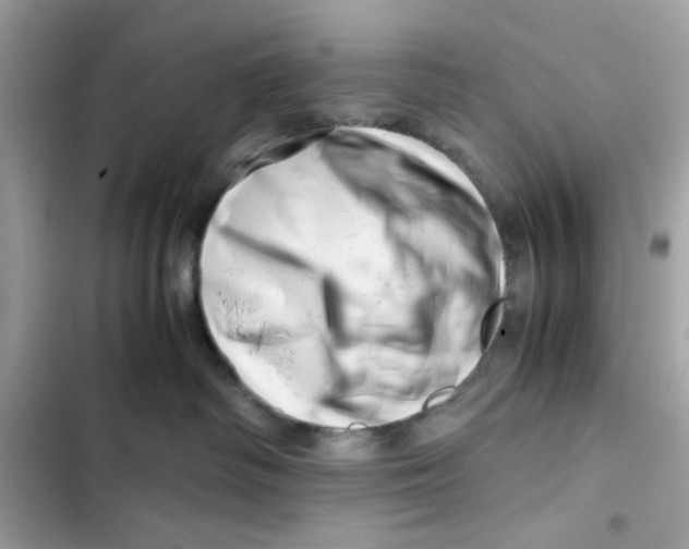 X0000101960334200808151321
