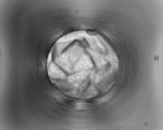 X0000101960336200808151321