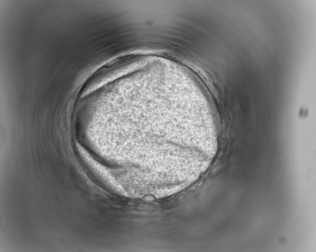 X0000101960337200808151320