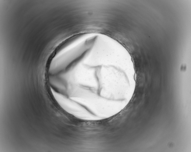 X0000101960338200808151320