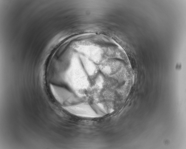 X0000101960339200808151320