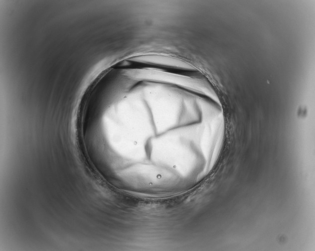 X0000101960340200808151320