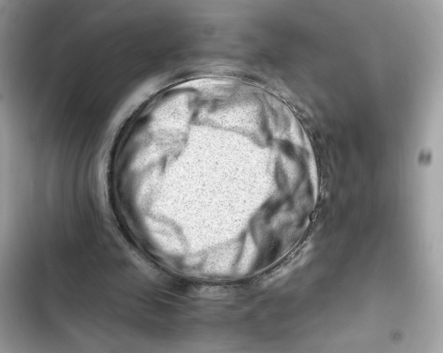 X0000101960341200808151320