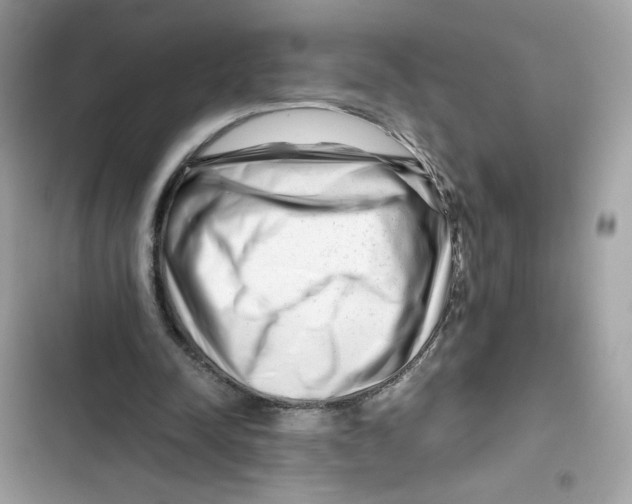 X0000101960342200808151320