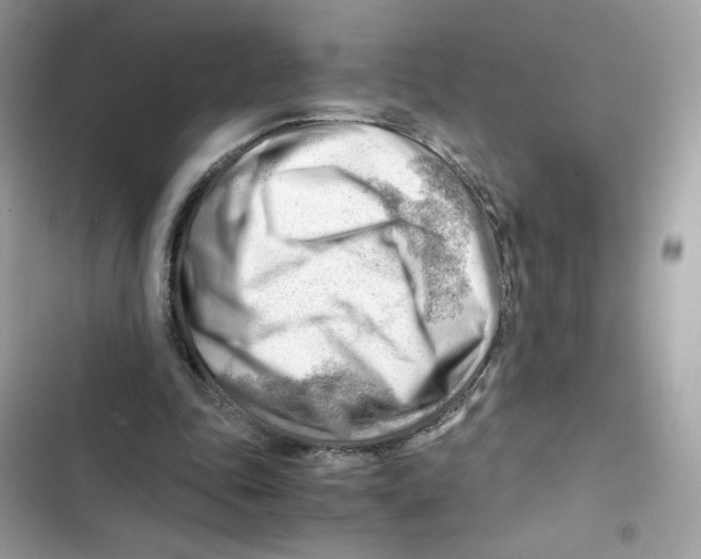 X0000101960343200808151320