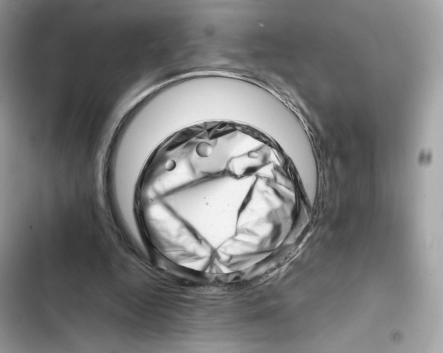 X0000101960344200808151320