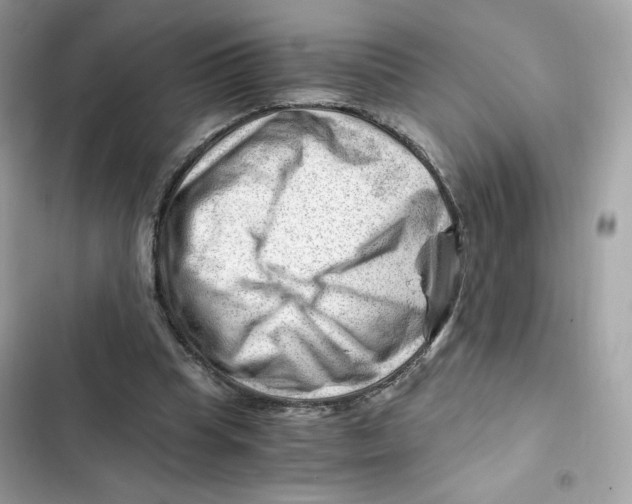X0000101960345200808151320