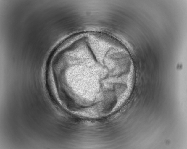 X0000101960346200808151320