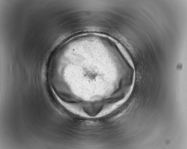 X0000101960347200808151320