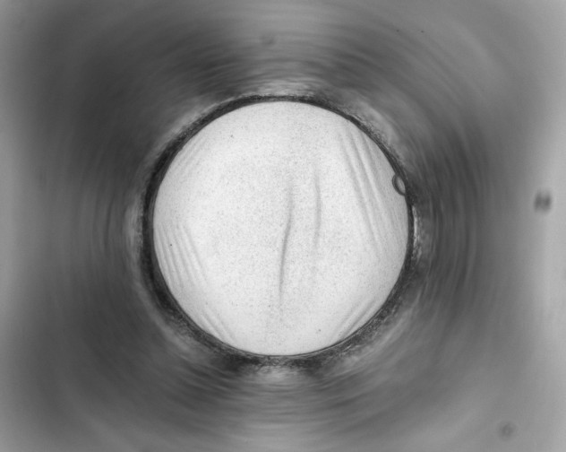 X0000101960348200808151320