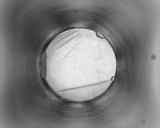 X0000101960349200808151320