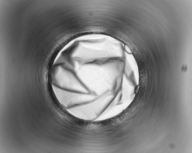 X0000101960350200808151320