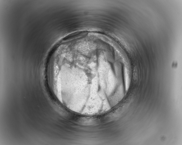 X0000101960351200808151320