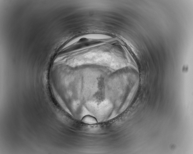 X0000101960353200808151320