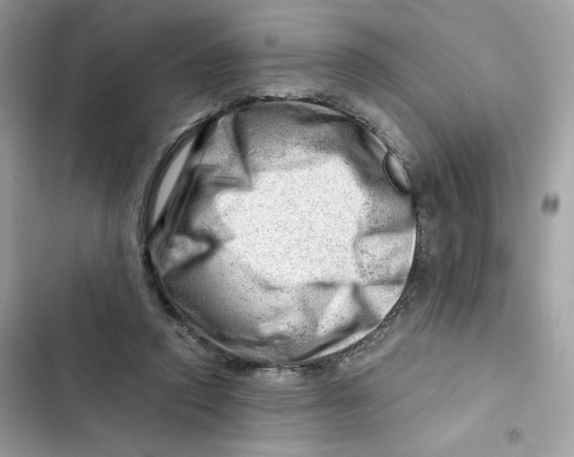 X0000101960354200808151320