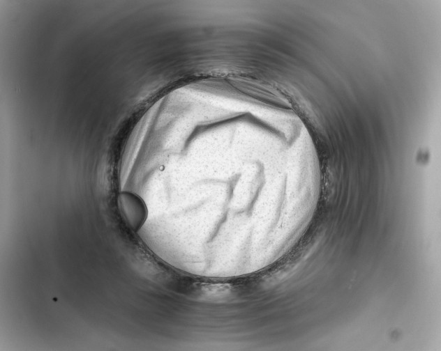 X0000101960355200808151320