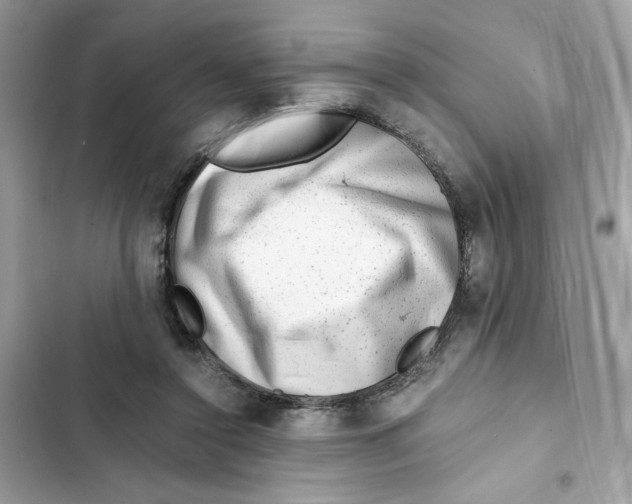X0000101960356200808151320