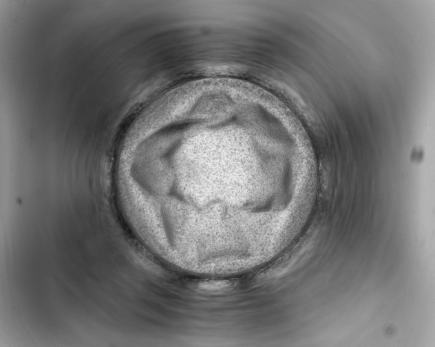 X0000101960357200808151320
