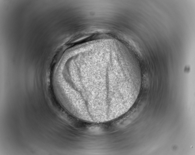 X0000101960358200808151320