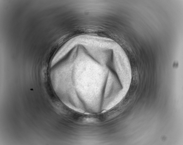 X0000101960360200808151320