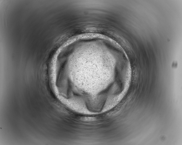 X0000101960361200808151320