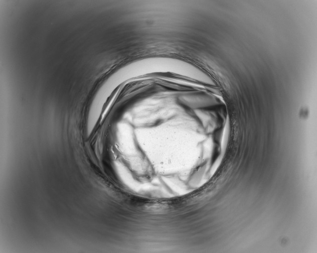 X0000101960362200808151320