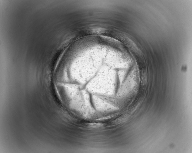 X0000101960363200808151320